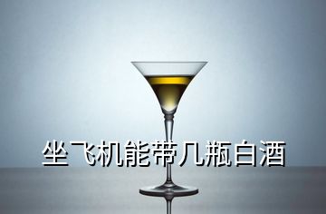 坐飛機能帶幾瓶白酒