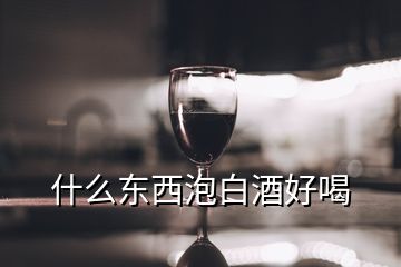 什么東西泡白酒好喝