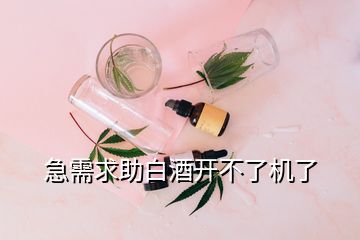 急需求助白酒開不了機(jī)了