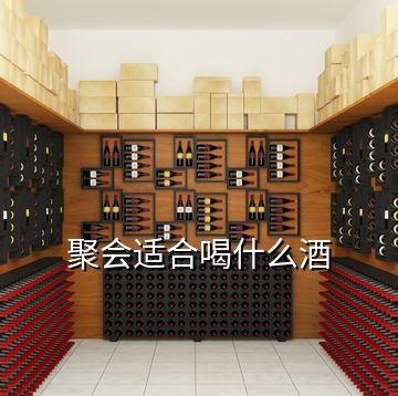 聚會適合喝什么酒