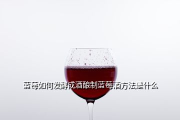 藍(lán)莓如何發(fā)酵成酒釀制藍(lán)莓酒方法是什么