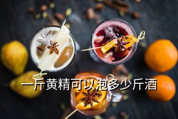 一斤黃精可以泡多少斤酒