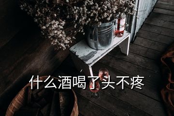 什么酒喝了頭不疼