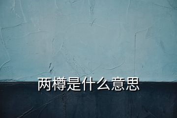 兩樽是什么意思