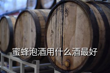 蜜蜂泡酒用什么酒最好