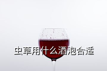 蟲草用什么酒泡合適