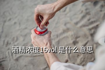 酒精濃度16vol 是什么意思