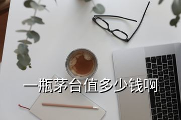 一瓶茅臺(tái)值多少錢(qián)啊