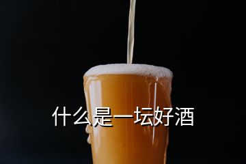 什么是一壇好酒