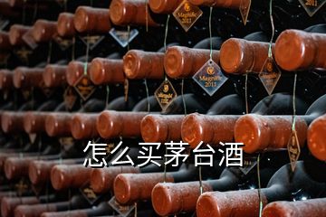 怎么買(mǎi)茅臺(tái)酒