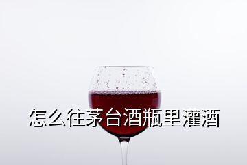 怎么往茅臺酒瓶里灌酒