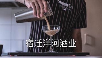 宿遷洋河酒業(yè)