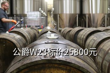 公爵W23標(biāo)價25800元