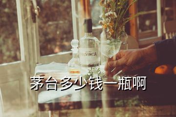 茅臺(tái)多少錢一瓶啊