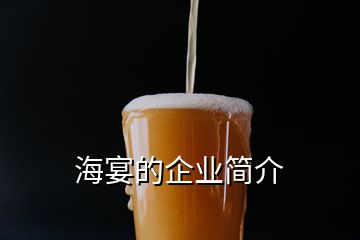 海宴的企業(yè)簡(jiǎn)介