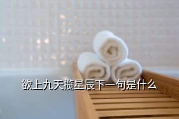 欲上九天攬星辰下一句是什么