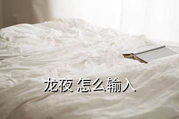 龍夜 怎么輸入