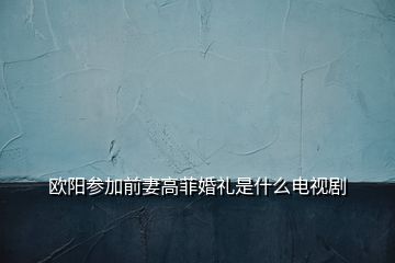 歐陽(yáng)參加前妻高菲婚禮是什么電視劇