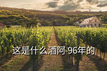 這是什么酒阿 96年的