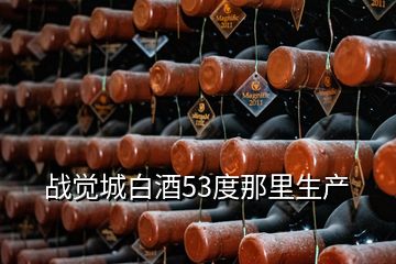 戰(zhàn)覺城白酒53度那里生產