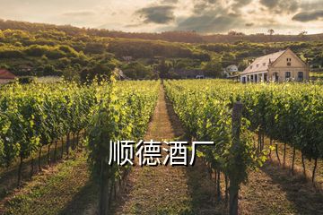 順德酒廠