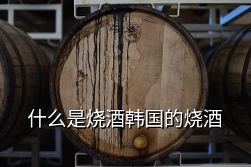 什么是燒酒韓國(guó)的燒酒