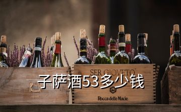 子薩酒53多少錢