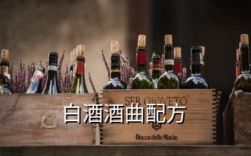 白酒酒曲配方