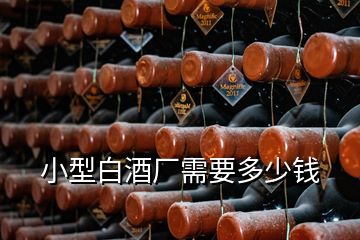 小型白酒廠需要多少錢