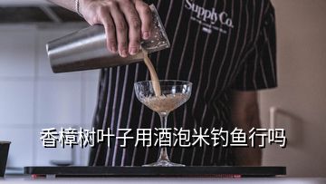 香樟樹葉子用酒泡米釣魚行嗎