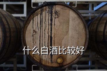 什么白酒比較好