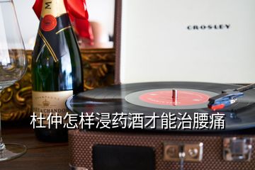 杜仲怎樣浸藥酒才能治腰痛