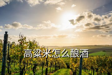 高粱米怎么釀酒