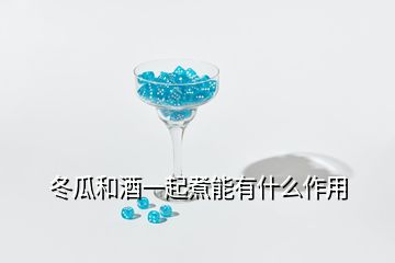 冬瓜和酒一起煮能有什么作用