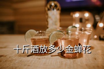 十斤酒放多少金蟬花