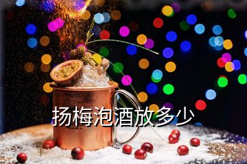 揚(yáng)梅泡酒放多少