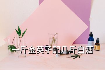 一斤金英孑配幾斤白酒