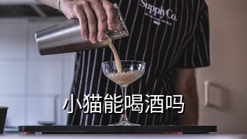 小貓能喝酒嗎