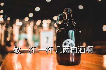 敬一杯 一杯 幾兩白酒啊