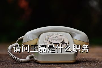 請問王磊是什么職務