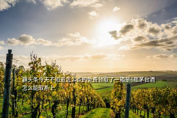 趣頭條今天不知道怎么點(diǎn)的免費(fèi)領(lǐng)取了一箱是6瓶茅臺(tái)酒怎么能取系上