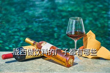 隴西做飲料的廠子都有哪些