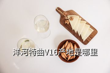 洋河特曲V16產(chǎn)地是哪里