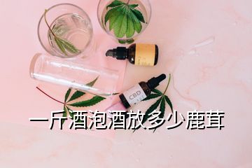 一斤酒泡酒放多少鹿茸