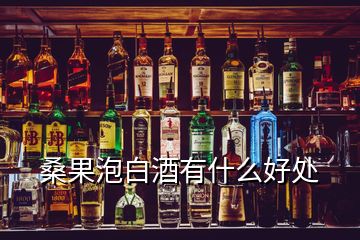 桑果泡白酒有什么好處