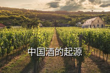 中國(guó)酒的起源