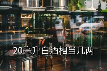 20毫升白酒相當(dāng)幾兩