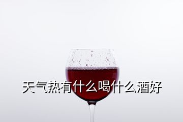 天氣熱有什么喝什么酒好