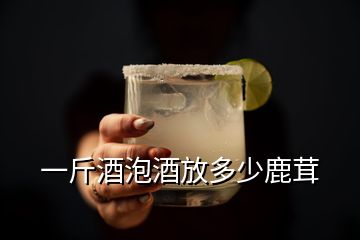 一斤酒泡酒放多少鹿茸