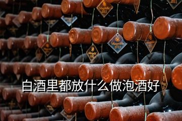 白酒里都放什么做泡酒好